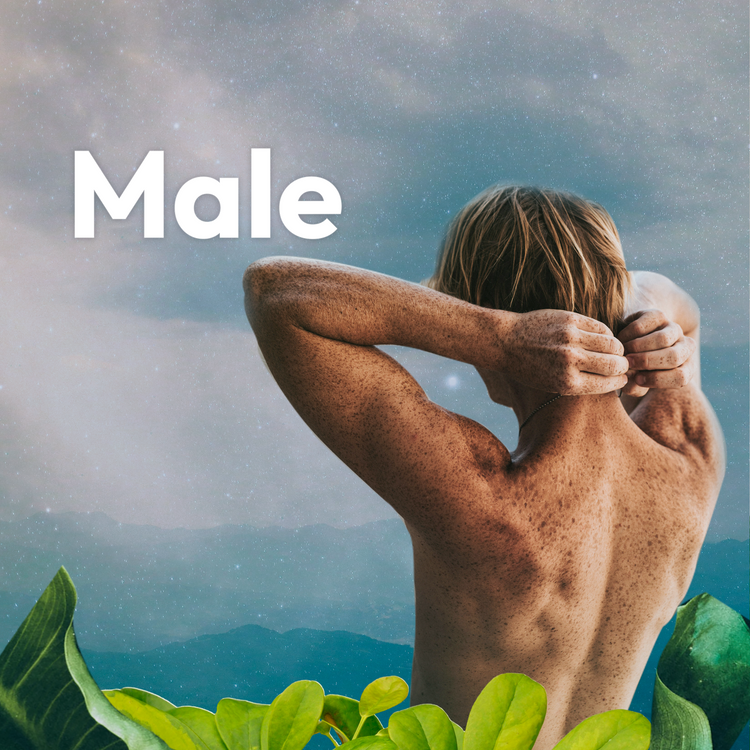 Male